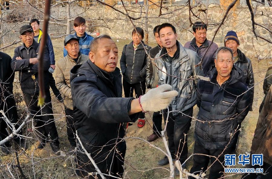 （新華全媒頭條·圖文互動）（8）鍛造領航復興的中流砥柱——寫在“不忘初心、牢記使命”主題教育即將啟動之際