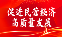 促進民營經濟高質量發展