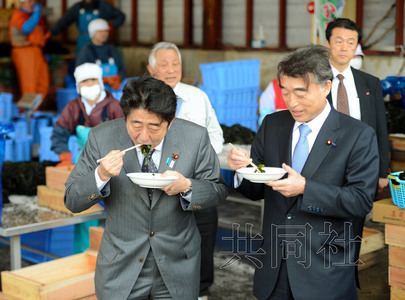 安倍再赴地震災區視察吃當地特產稱有利于健康