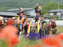 日本巖手縣舉行傳統活動“叮鈴叮鈴趕馬會”（圖）
