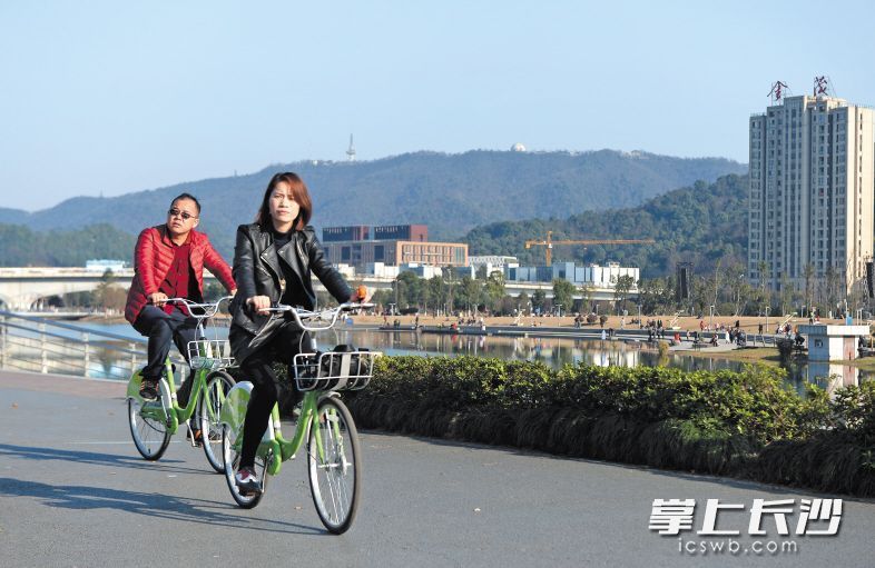 梅溪湖畔，市民們騎著共享單車賞景。長沙晚報記者 鄒麟 攝