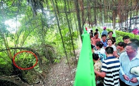 泉州綠化帶藏木箱 驚現小孩尸體