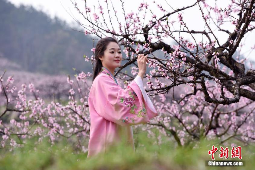 浙江女大學生著古裝相約桃花節