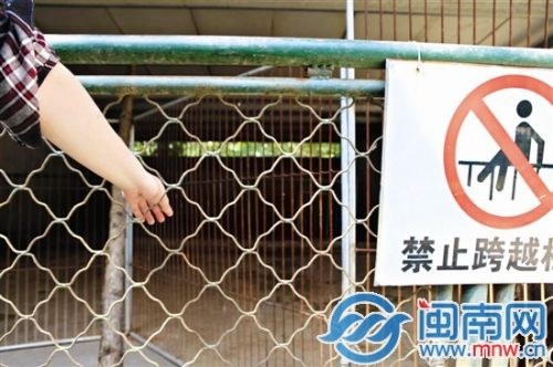 漳州3歲童動物園看野豬小指被吞食 園方:愿賠償