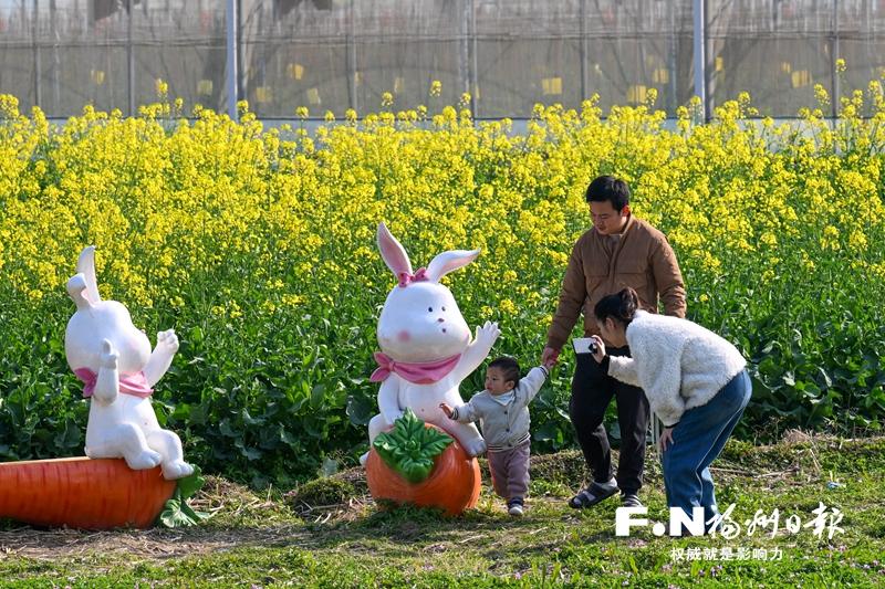 福州百花盛開，“賞花經濟”如何持久綻放？